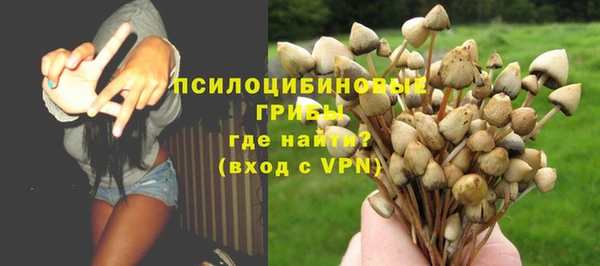 apvp Заволжск