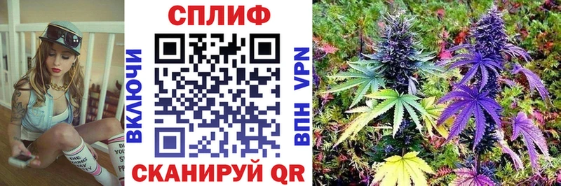 МАРИХУАНА сатива  Шелехов 